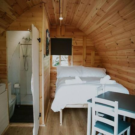 Ash Winter Retreat- Hot Tub & Log Bruner Barmouth Exterior foto