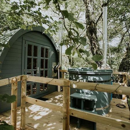 Ash Winter Retreat- Hot Tub & Log Bruner Barmouth Exterior foto