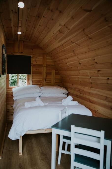 Ash Winter Retreat- Hot Tub & Log Bruner Barmouth Exterior foto